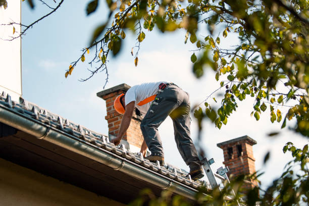 Best Roof Gutter Cleaning  in Enola, PA